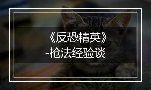 《反恐精英》-枪法经验谈