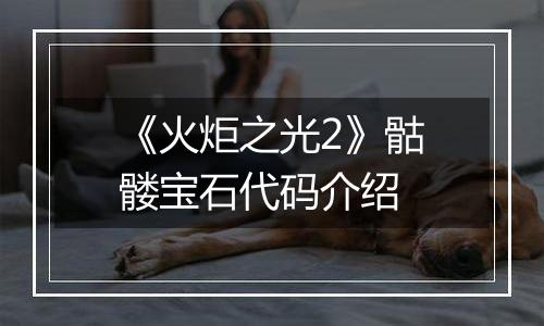 《火炬之光2》骷髅宝石代码介绍