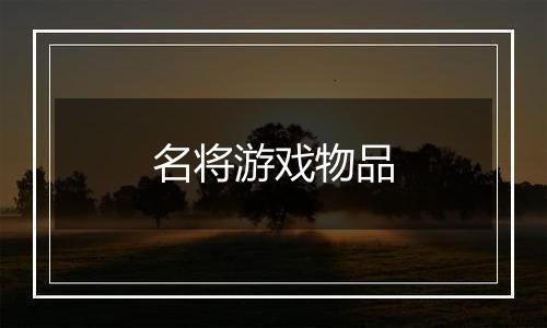 名将游戏物品