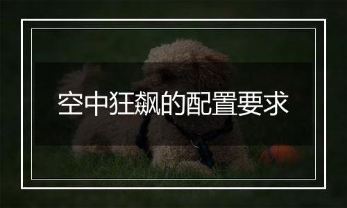 空中狂飙的配置要求