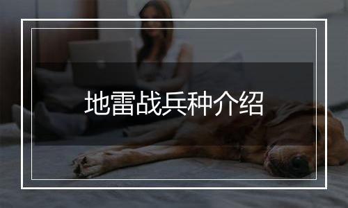 地雷战兵种介绍