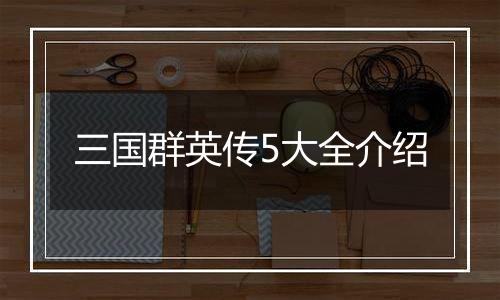 三国群英传5大全介绍