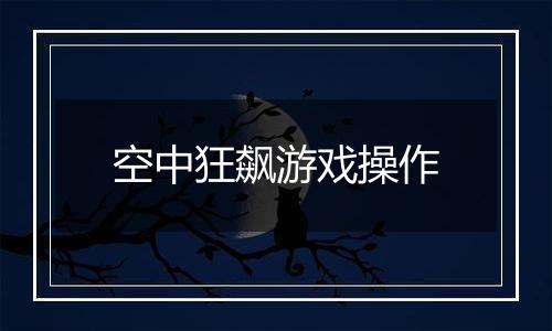 空中狂飙游戏操作