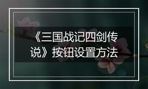 《三国战记四剑传说》按钮设置方法