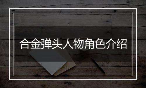 合金弹头人物角色介绍