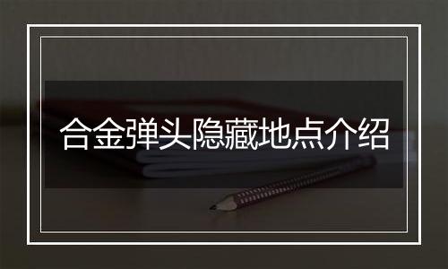 合金弹头隐藏地点介绍