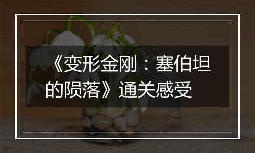 《变形金刚：塞伯坦的陨落》通关感受