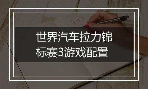 世界汽车拉力锦标赛3游戏配置