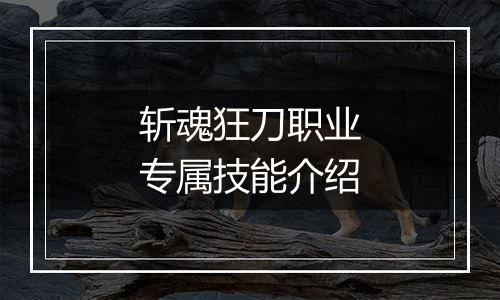 斩魂狂刀职业专属技能介绍