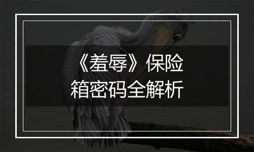 《羞辱》保险箱密码全解析
