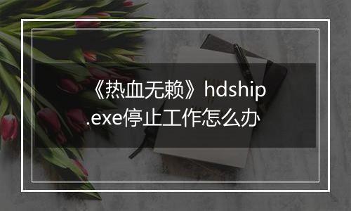 《热血无赖》hdship.exe停止工作怎么办