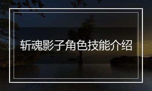 斩魂影子角色技能介绍