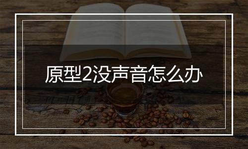 原型2没声音怎么办