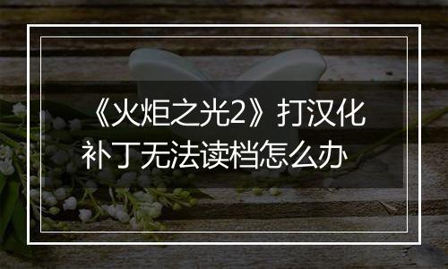 《火炬之光2》打汉化补丁无法读档怎么办
