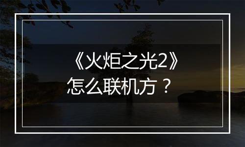 《火炬之光2》怎么联机方？