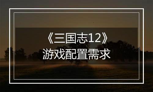 《三国志12》游戏配置需求