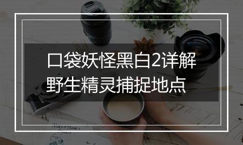 口袋妖怪黑白2详解野生精灵捕捉地点