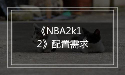 《NBA2k12》配置需求