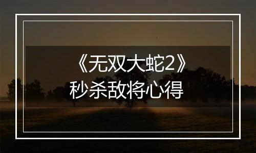 《无双大蛇2》秒杀敌将心得