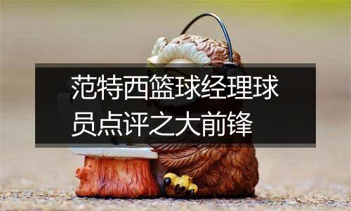 范特西篮球经理球员点评之大前锋