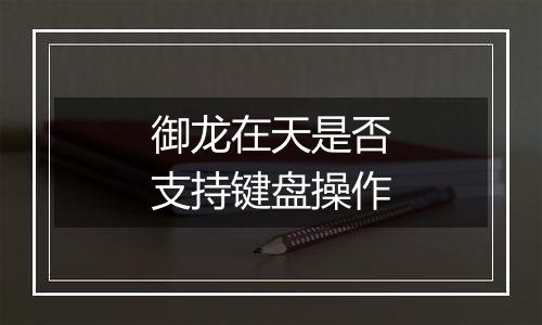 御龙在天是否支持键盘操作