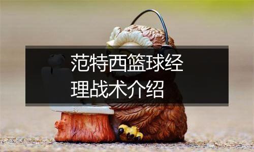 范特西篮球经理战术介绍
