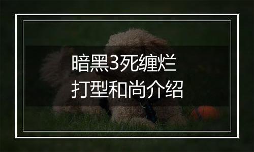 暗黑3死缠烂打型和尚介绍