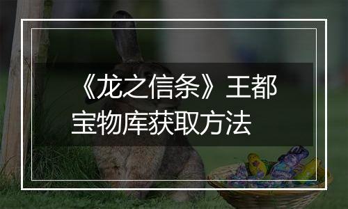 《龙之信条》王都宝物库获取方法