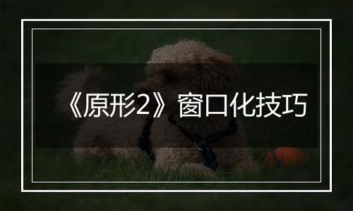 《原形2》窗口化技巧