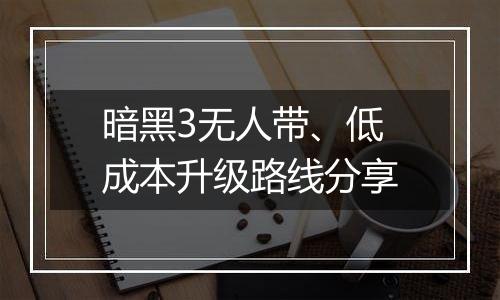 暗黑3无人带、低成本升级路线分享