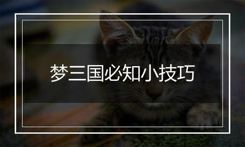 梦三国必知小技巧