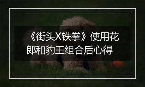 《街头X铁拳》使用花郎和豹王组合后心得