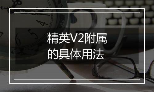 精英V2附属的具体用法