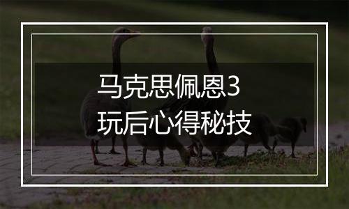 马克思佩恩3玩后心得秘技