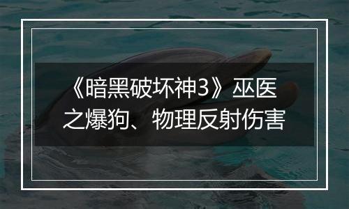 《暗黑破坏神3》巫医之爆狗、物理反射伤害