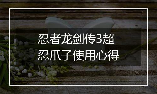 忍者龙剑传3超忍爪子使用心得