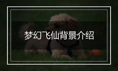 梦幻飞仙背景介绍