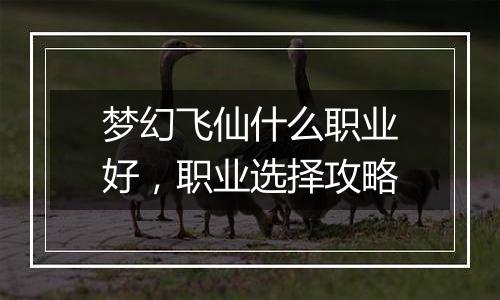 梦幻飞仙什么职业好，职业选择攻略