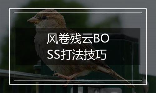 风卷残云BOSS打法技巧
