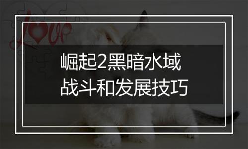 崛起2黑暗水域战斗和发展技巧