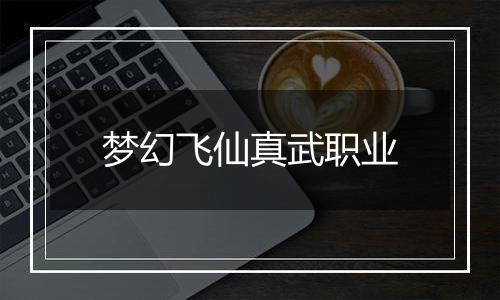 梦幻飞仙真武职业