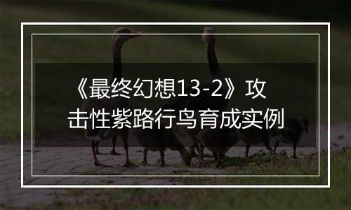 《最终幻想13-2》攻击性紫路行鸟育成实例