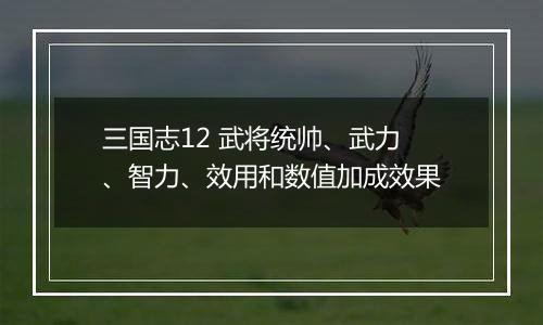 三国志12 武将统帅、武力、智力、效用和数值加成效果
