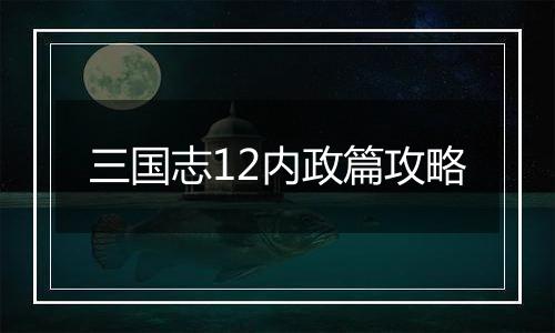 三国志12内政篇攻略