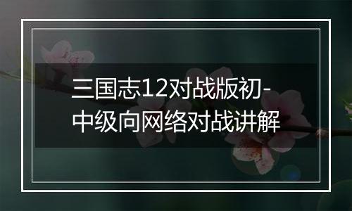 三国志12对战版初-中级向网络对战讲解