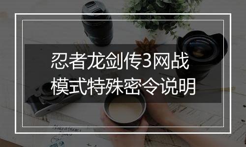 忍者龙剑传3网战模式特殊密令说明
