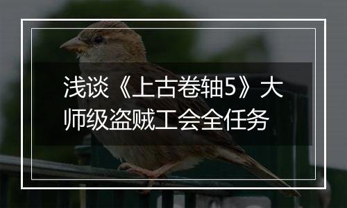 浅谈《上古卷轴5》大师级盗贼工会全任务