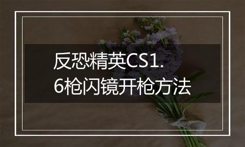 反恐精英CS1.6枪闪镜开枪方法