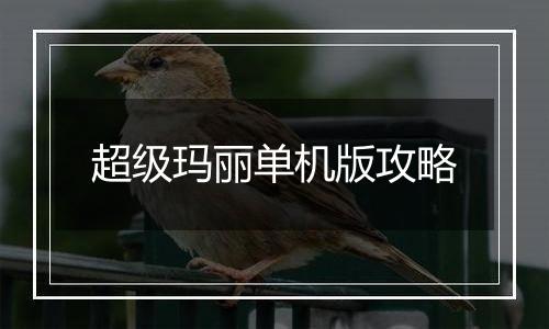 超级玛丽单机版攻略