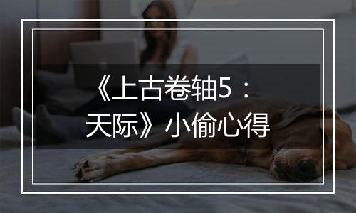 《上古卷轴5：天际》小偷心得